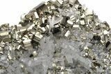 Gleaming, Striated Pyrite Crystals on Quartz - Peru #231534-1